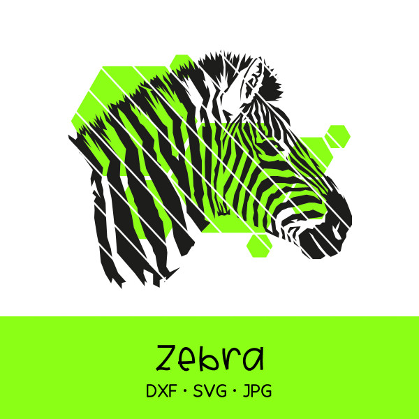 Jasando.ch - Plotterdatei realistisches Zebra mit Hexagons